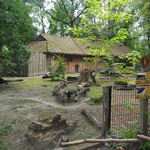 Giant anteater and Black-rumped agouti exhibit, 2020-07-14