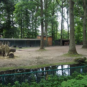 Guanaco paddock, 2020-07-14