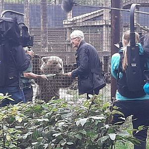 08/10/20 - Paul O'Grady feeding female bear cub