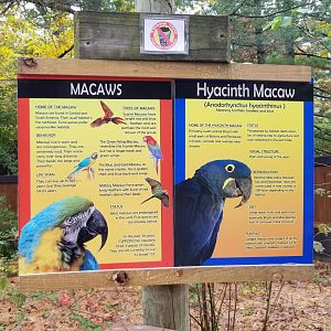 Catoctin Wildlife Preserve - Macaw sign