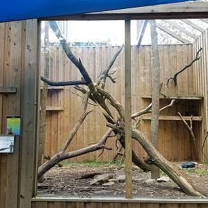 Catoctin Wildlife Preserve - Fossa exhibit