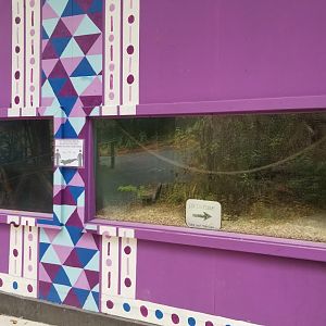 Catoctin Wildlife Preserve - Indoor viewing of fossas