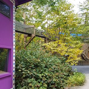 Catoctin Wildlife Preserve - Ramp for adult fossa to go from indoors to out