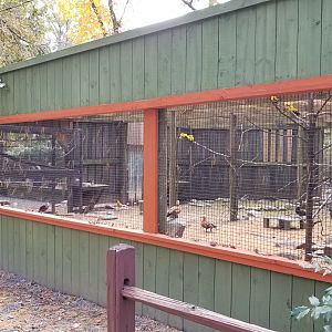 Catoctin Wildlife Preserve - Australia Aviary, sort of