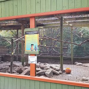 Catoctin Wildlife Preserve - Budgie aviary