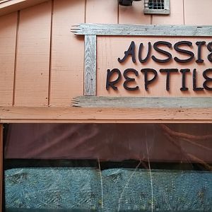 Catoctin Wildlife Preserve - "Australia Reptiles" - Madagascar Ground Boa