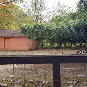 Catoctin Wildlife Preserve - Red Kangaroo, Bennett's Wallaby, Emu