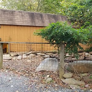 Catoctin Wildlife Preserve - Unknown Tortoise area