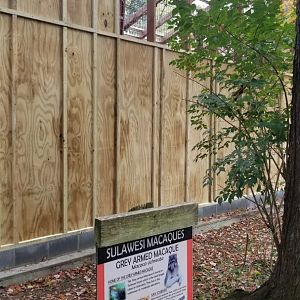 Catoctin Wildlife Preserve - new booted macaque exhibit?