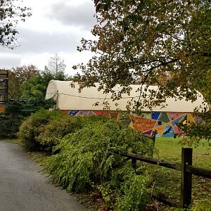 Catoctin Wildlife Preserve - Path, baboons up ahead