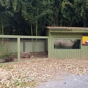 Catoctin Wildlife Preserve - Burmese Mountain Tortoise