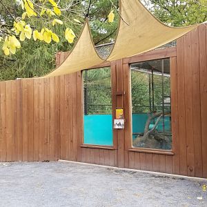 Catoctin Wildlife Preserve - Asian Small-clawed Otters