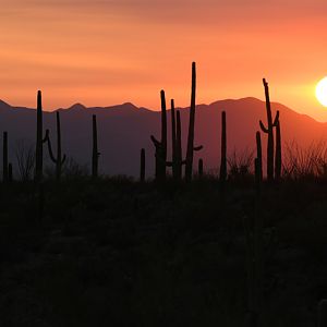 sunset from museum grounds