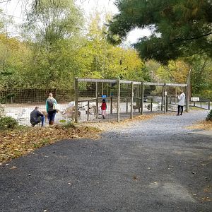 Catoctin Wildlife Preserve - Petting area #1, goats and fallow deer