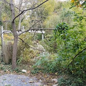 Catoctin Wildlife Preserve - Dead-end area next to leopard, former exhibit area?