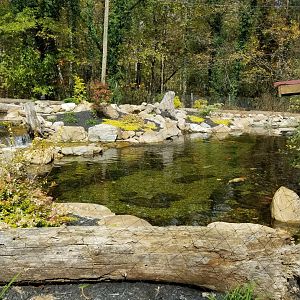 Catoctin Wildlife Preserve - Koi feeding area