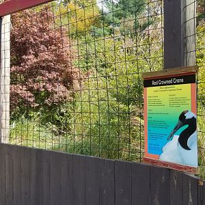 Catoctin Wildlife Preserve - Red Crowned Crane