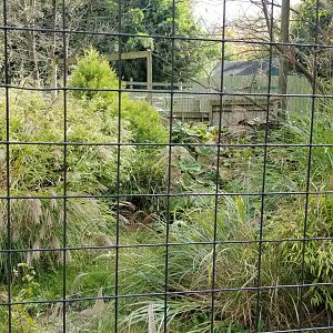 Catoctin Wildlife Preserve - Red Crowned Crane exhibit