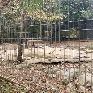 Catoctin Wildlife Preserve - Arctic Wolves