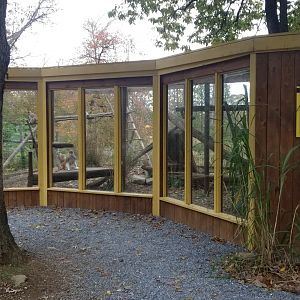 Catoctin Wildlife Preserve - Patas Monkey