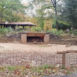 Catoctin Wildlife Preserve - Sulcata, Leopard tortoises. Camel ride area in back