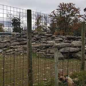 Catoctin Wildlife Preserve - Aoudad