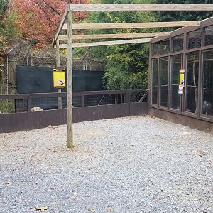 Catoctin Wildlife Preserve - Aldabra, crested screamer area