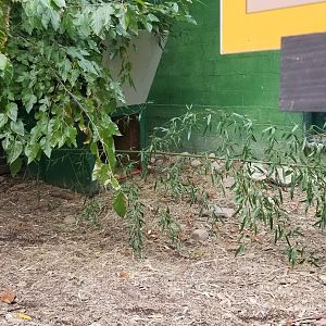 Catoctin Wildlife Preserve - Aldabra tortoise house