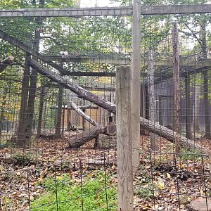 Catoctin Wildlife Preserve - Eurasian lynx exhibit