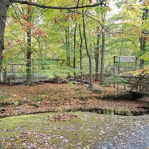 Catoctin Wildlife Preserve - Rainforest Island, not accessable