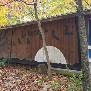Catoctin Wildlife Preserve - "Neotropical Bat" Building