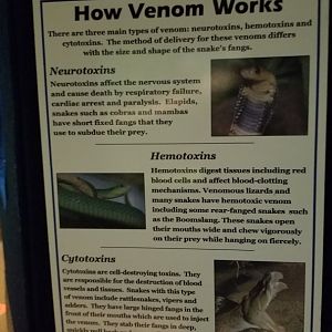 Catoctin Wildlife Preserve - How Venom Works sign