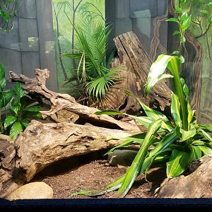 Catoctin Wildlife Preserve - Bushmaster exhibit