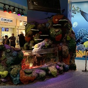 Oct. 2020- Entrance tank