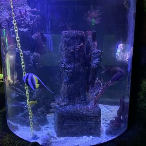 Oct 2020- Shipwreck cylinder tank