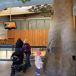 Giraffe building- grants zebra & ostrich indoor exhibit