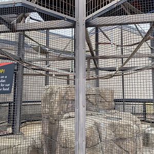 Primates- outdoor patas monkey cage