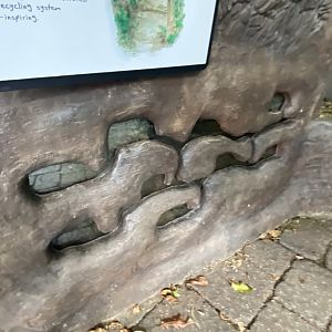 Tropical encounters- leaf cutter ant exhibit