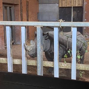 Sudan before going out for first time