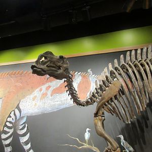 hadrosaur