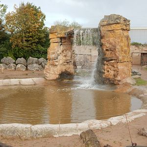 Asian elephant enclosure 071020