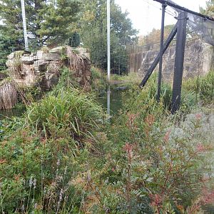 Edge of Europe aviary 071020