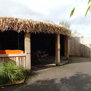 Cheetah covered viewing area 071020