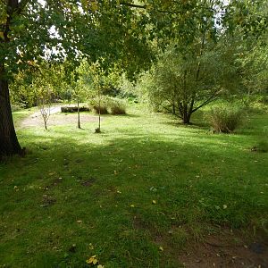 Cheetah enclosure 071020