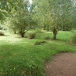 Cheetah enclosure 071020
