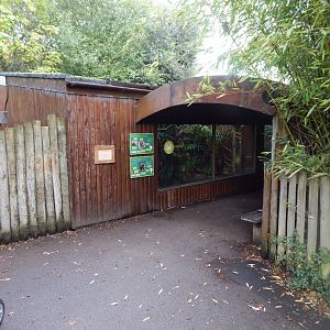 Tamarin enclosure 071020