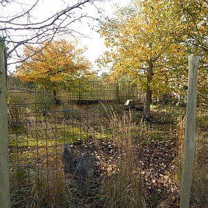 Kirk's dik-dik enclosure 071020