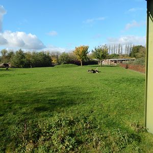 Roan antelope enclosure 071020