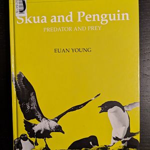 Skua and Penguin: Predator and Prey