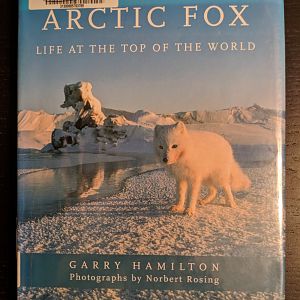 Arctic Fox: Life at the Top of the World